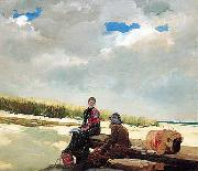 Winslow Homer, Cloud Shadows